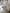 胸パッド付ブルーベアセットアップパジャマ